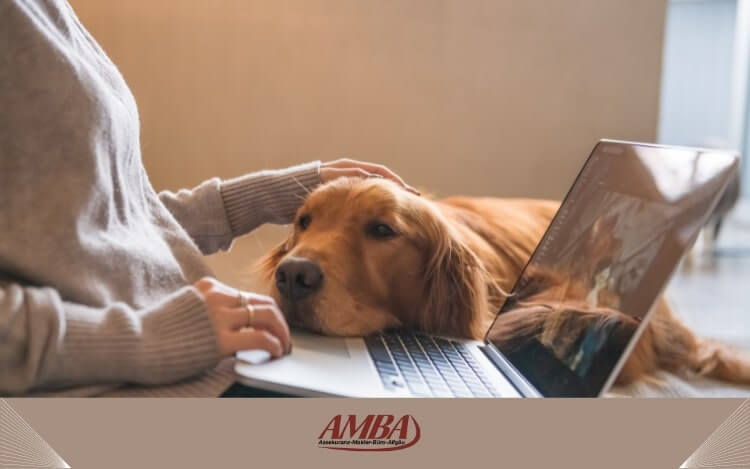 Hundehalterin informiert sich mit Ihren Hund über die Kosten einer Hundeversicherung