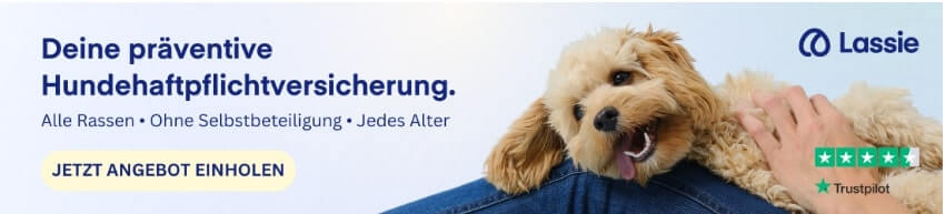 Banner für Hundehaftpflichtversicherung von Lassie mit einem Hund und der Aufforderung, ein Angebot einzuholen.