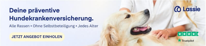 Banner für die Hundeversicherung von Lassie, mit einem glücklichen Hund und dem Slogan 'Deine präventive Hundekrankenversicherung'.