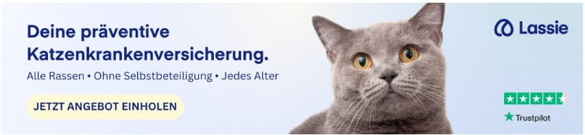 Werbung für eine Katzenkrankenversicherung von Lassie, mit einem grauen Kater und dem Text: 'Deine präventive Katzenkrankenversicherung. Alle Rassen - Ohne Selbstbeteiligung - Jedes Alter. Jetzt Angebot einholen.' Trustpilot-Bewertung mit 5 Sternen.