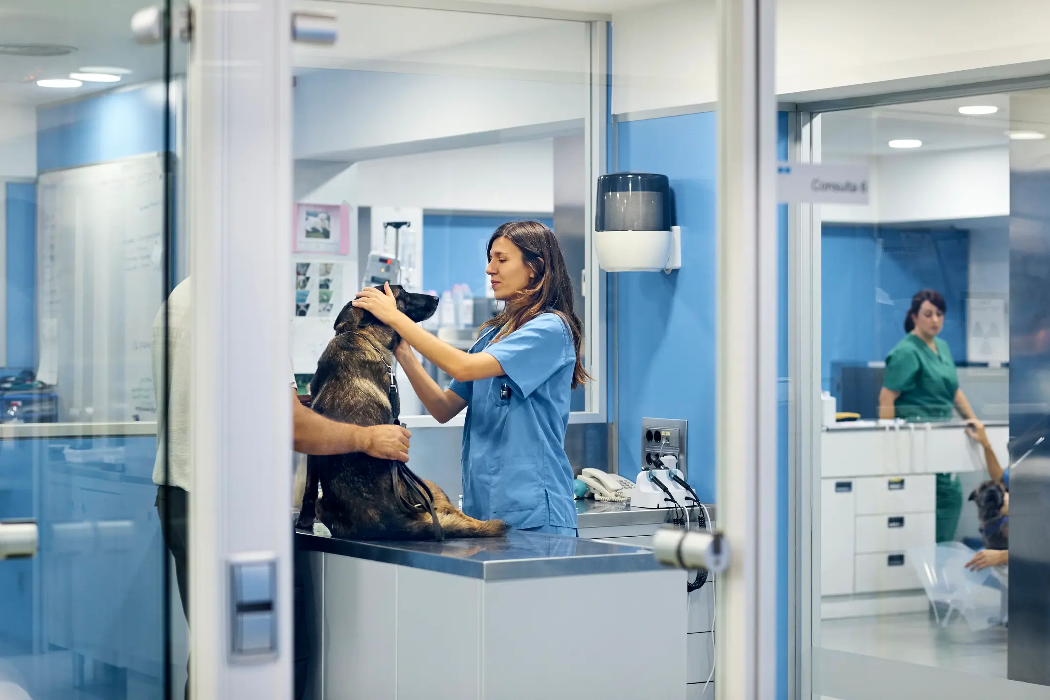 Hunde OP Versicherung