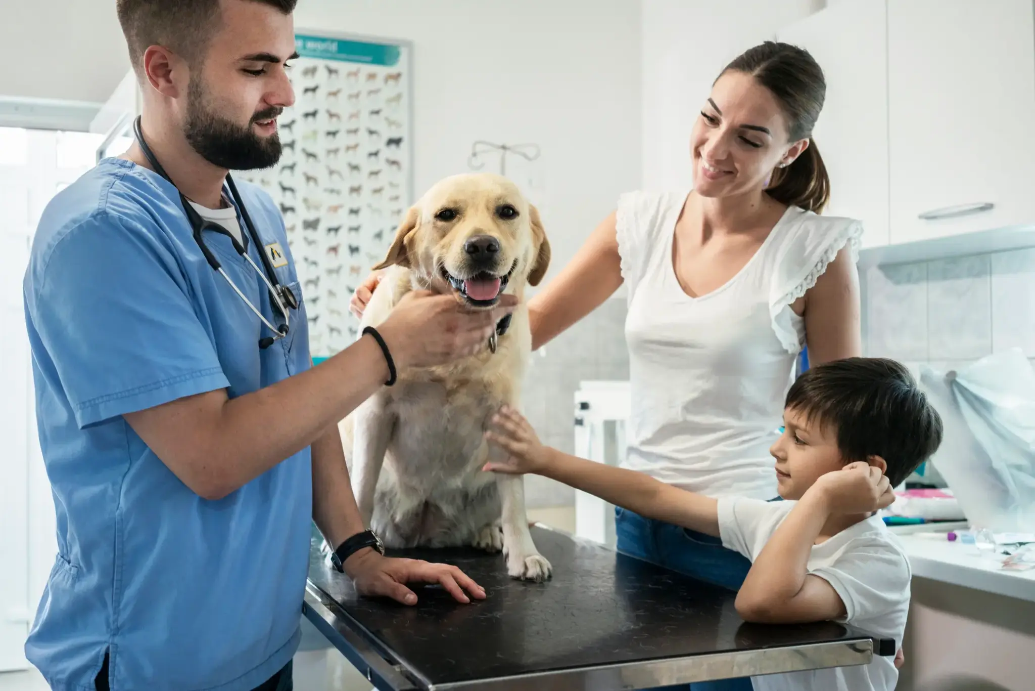 Hundekrankenversicherung