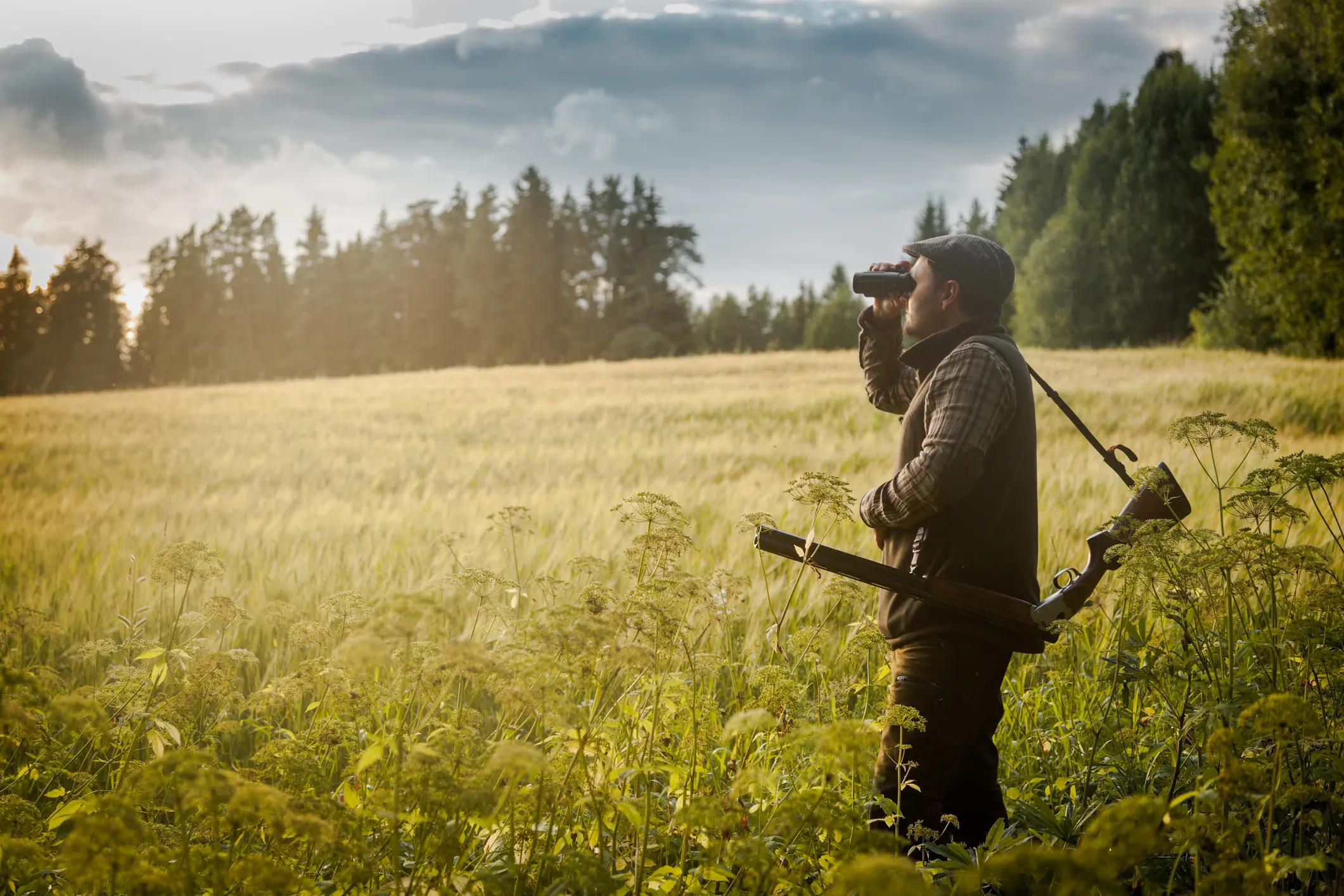 Jäger steht mit Fernglas und Gewehr im hohen Gras und beobachtet ein Feld am Waldrand bei Sonnenuntergang