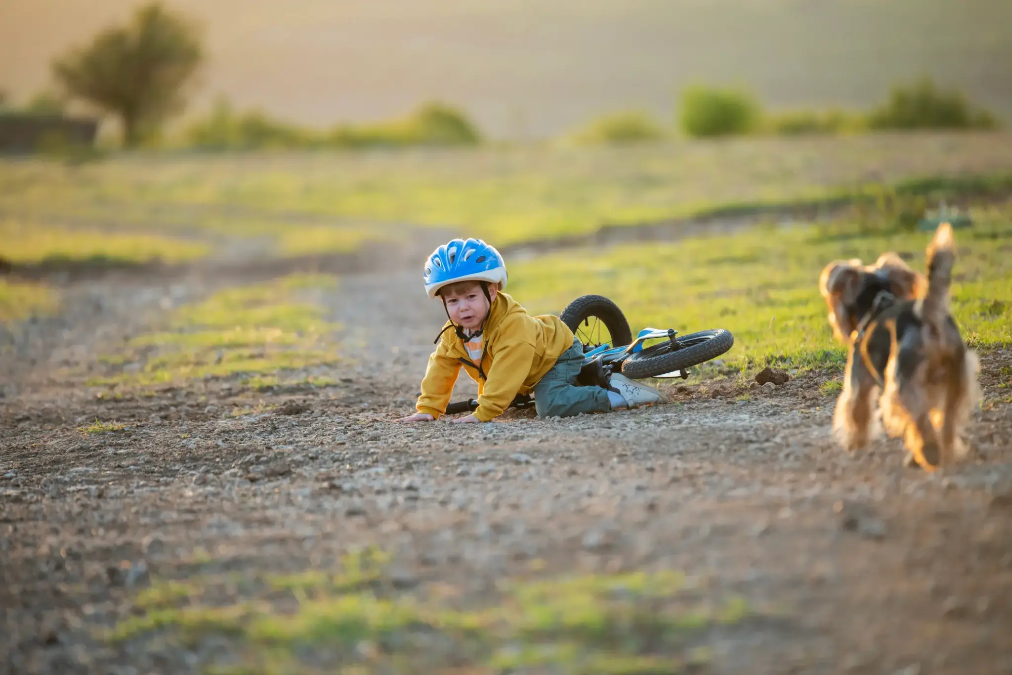 Kinderunfallversicherung | Kind mit Fahrradhelm liegt nach einem Sturz auf einem Feldweg am Boden, ein kleiner Hund läuft auf es zu