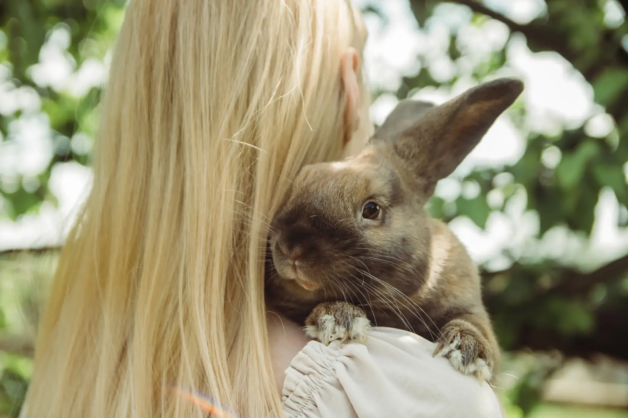 Ein braunes Kaninchen liegt auf der Schulter eines blondhaarigen Mädchens und schaut aufmerksam in die Kamera – Symbol für Tierliebe.