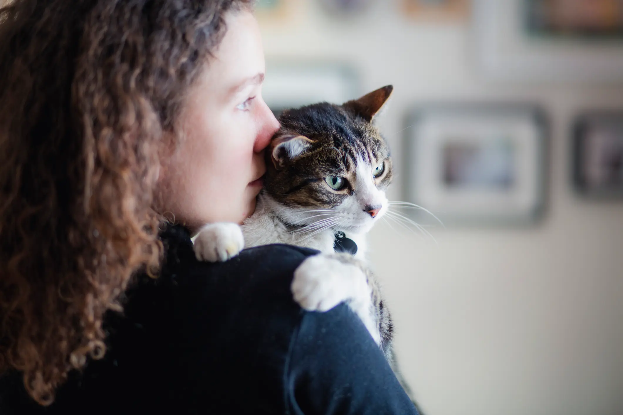 Katzenkrankenversicherung | Katzenkrankenversicherung | sinnvoll