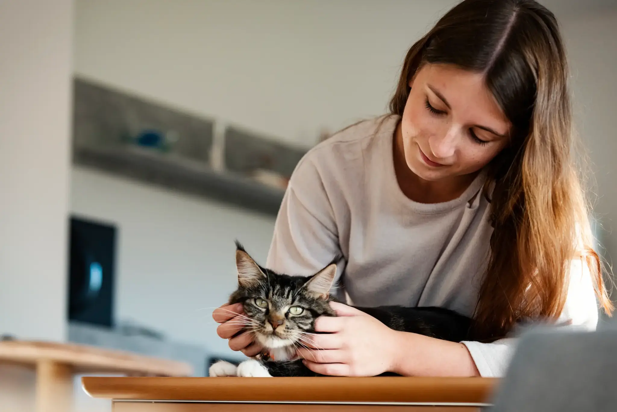Junge Frau streichelt ihre schwarz-weiße Katze auf einem Tisch – Symbolbild für liebevollen Umgang und Katzenwissen im Alltag.