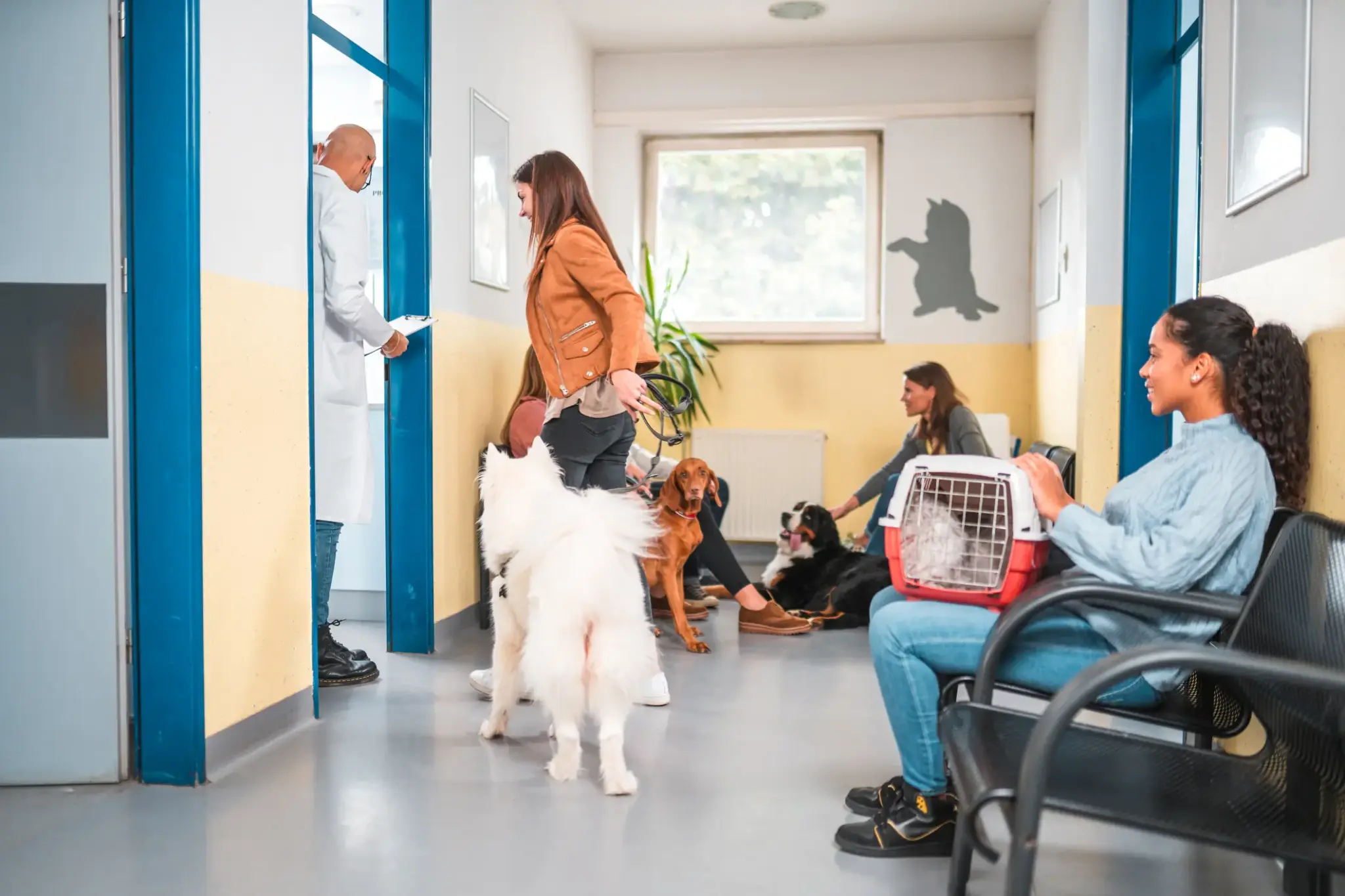 Mehrere Tierhalter mit Hunden und Katze im Wartezimmer einer Tierarztpraxis – der Alltag vor einer tierärztlichen Behandlung.