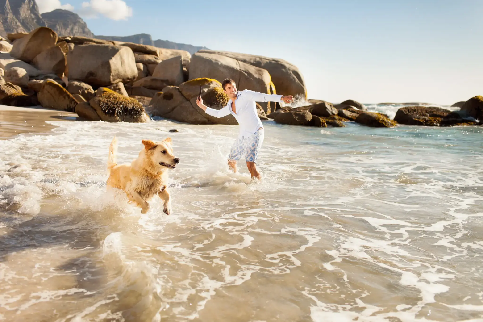Urlaub mit Hund