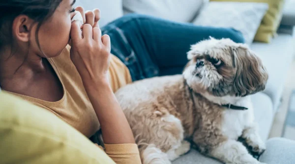 Frau sitzt mit Taschentuch auf dem Sofa, neben ihr ein kleiner Hund mit langem Fell, beide schauen sich an