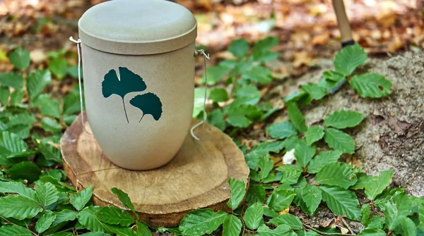 Biologisch abbaubare Urne mit Ginkgo-Motiv steht im Wald auf einem Baumstumpf – symbolisiert die natürliche Form der Baumbestattung