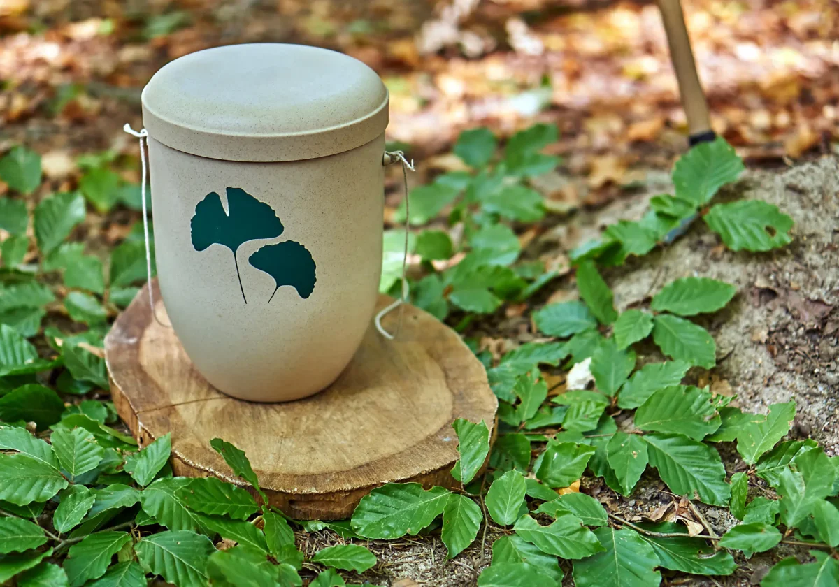 Biologisch abbaubare Urne mit Ginkgo-Motiv steht im Wald auf einem Baumstumpf – symbolisiert die natürliche Form der Baumbestattung