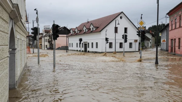 Elementarversicherung