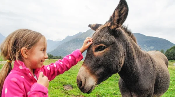 Ein Mädchen streichelt einen braunen Esel auf einer Wiese vor alpiner Bergkulisse – inniger Moment zwischen Tier und Kind.