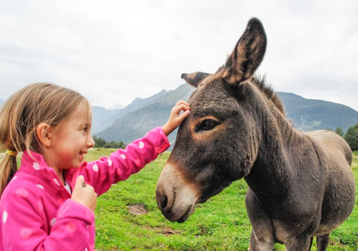Ein Mädchen streichelt einen braunen Esel auf einer Wiese vor alpiner Bergkulisse – inniger Moment zwischen Tier und Kind.