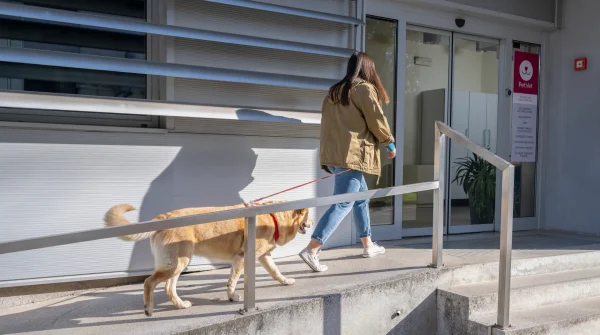 Frau geht mit ihrem Hund an der Leine in eine Tierarztpraxis – Symbolbild für Tierarztbesuche und die Gebührenordnung für Tierärzte (GOT).