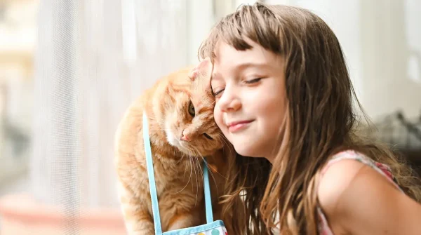 Rotes Katzenjunges reibt liebevoll den Kopf an ein lächelndes Mädchen mit langen braunen Haaren am Fenster