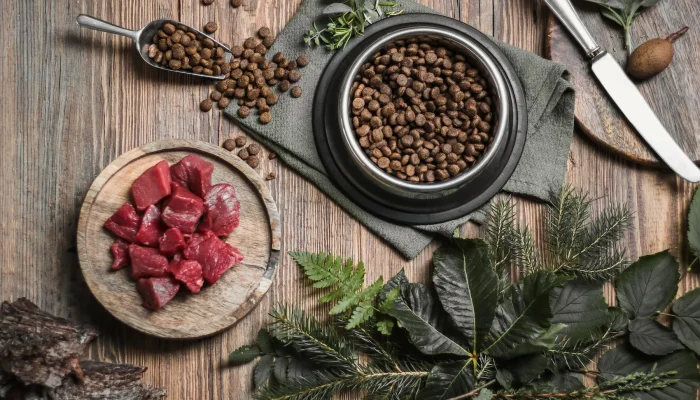 Hundeernaehrung Trockenfutter in einem Napf neben rohem Rindfleisch auf einem Holztisch, dekoriert mit Kräutern und Zweigen