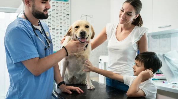 Hundekrankenversicherung