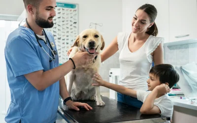 Tierarzt untersucht einen Labrador auf dem Behandlungstisch, Mutter und Kind stehen daneben in einer hellen Tierarztpraxis