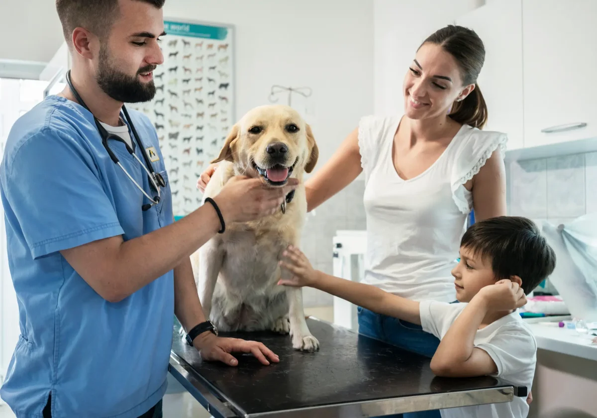 Tierarzt untersucht einen Labrador auf dem Behandlungstisch, Mutter und Kind stehen daneben in einer hellen Tierarztpraxis