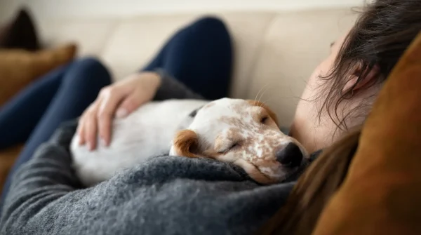 Hundekrankheit