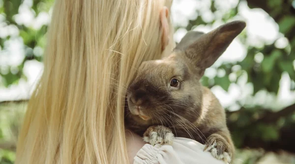 Ein braunes Kaninchen liegt auf der Schulter eines blondhaarigen Mädchens und schaut aufmerksam in die Kamera – Symbol für Tierliebe.
