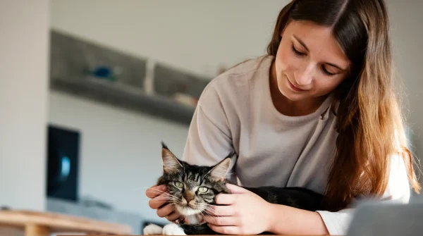 Junge Frau streichelt ihre schwarz-weiße Katze auf einem Tisch – Symbolbild für liebevollen Umgang und Katzenwissen im Alltag.