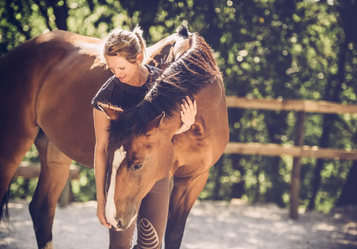 Frau umarmt ihr braunes Pferd in sonnigem Außenbereich, beide wirken entspannt – Symbolbild für emotionale Bindung und OP-Vorsorge.