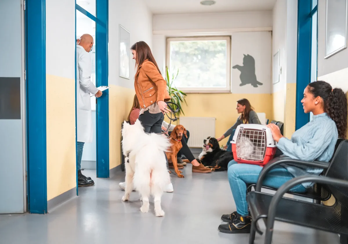 Mehrere Tierhalter mit Hunden und Katze im Wartezimmer einer Tierarztpraxis – der Alltag vor einer tierärztlichen Behandlung.