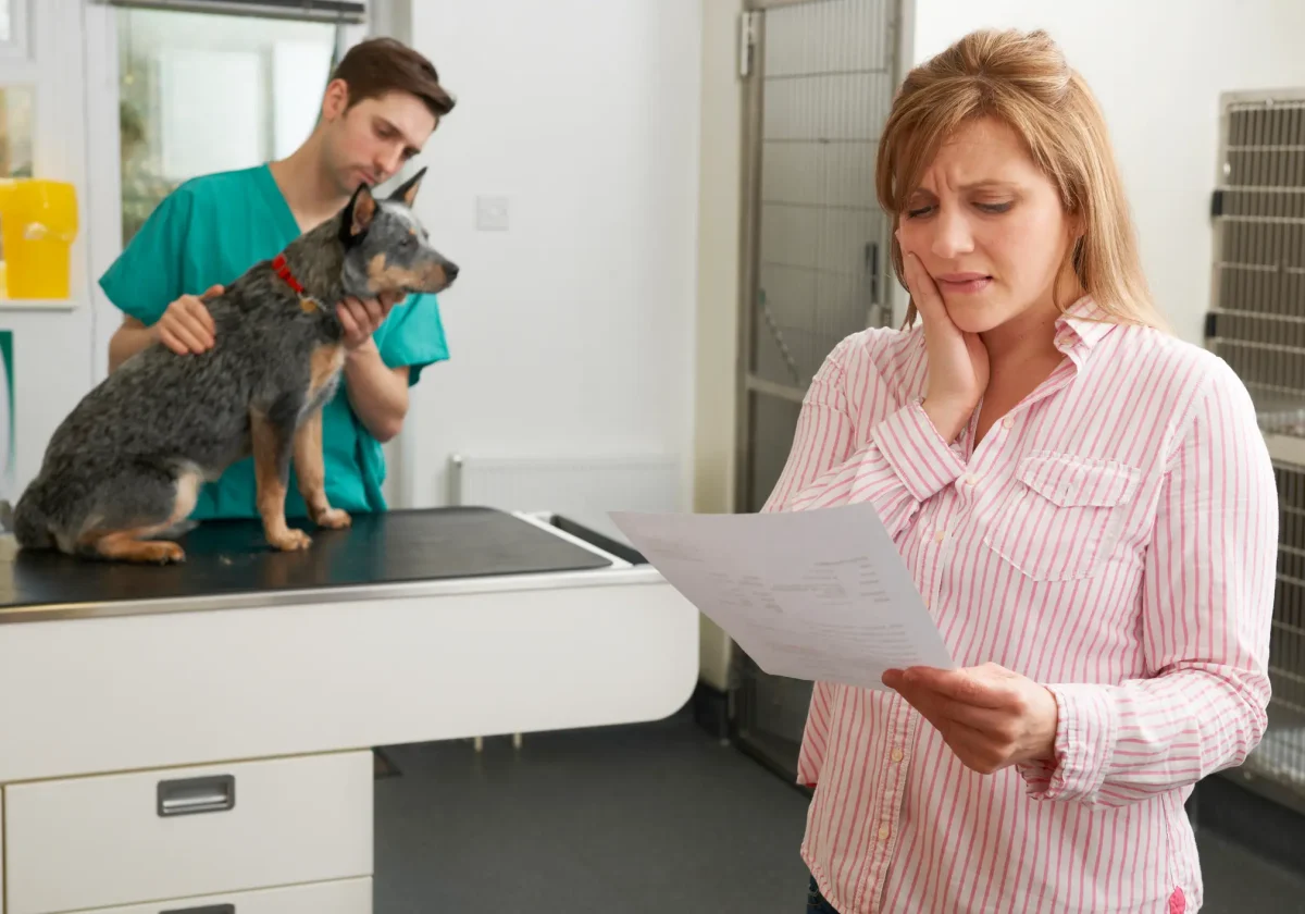 Besorgte Hundebesitzerin liest Tierarztrechnung, während Tierarzt den Hund untersucht – Sorge wegen hoher Tierarztkosten.