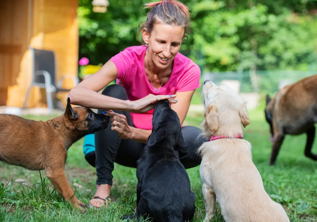 Hundetrainerin übt in der Welpenschule mit mehreren Welpen auf einer Wiese.