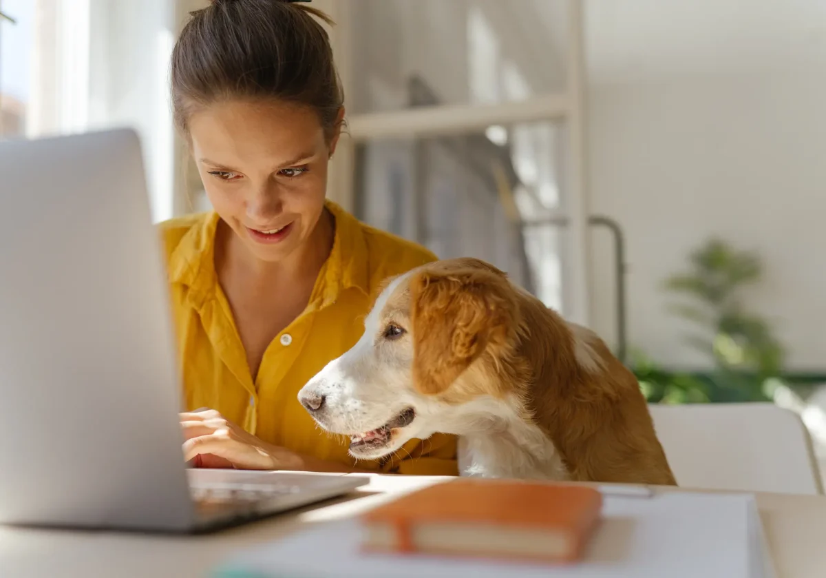 Frau recherchiert mit ihrem Hund gemeinsam am Laptop – sie informiert sich über die beste Hundekrankenversicherung.