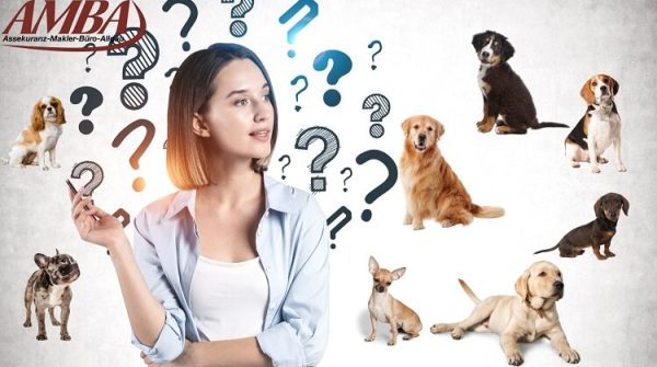 Junge Frau überlegt, welcher Hund zu ihr passt – umgeben von verschiedenen Hunderassen und Fragezeichen, Symbolbild für Anfängerwahl.