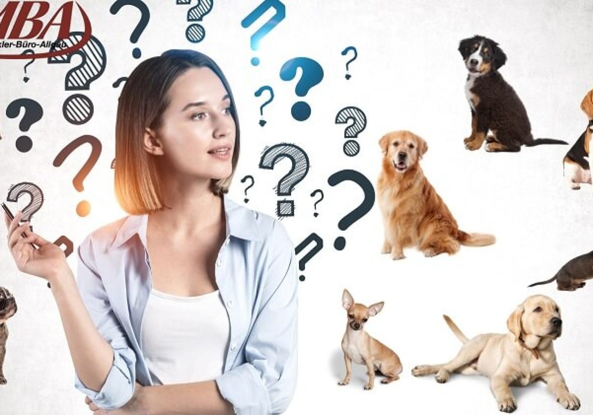 Junge Frau überlegt, welcher Hund zu ihr passt – umgeben von verschiedenen Hunderassen und Fragezeichen, Symbolbild für Anfängerwahl.