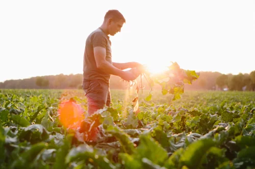 landwirtschaftliche-versicherungen