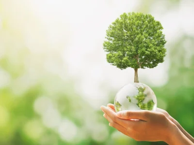 Zwei Hände halten eine Glaskugel mit grünem Baum – symbolisiert Leben, Naturverbundenheit und Kreislauf bei einer Baumbestattung